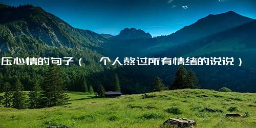 减压心情的句子（一个人熬过所有情绪的说说）