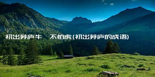 初出茅庐牛犊不怕虎(初出茅庐的成语)