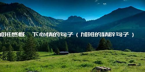 加班感慨一下心情的句子（加班的精辟句子）