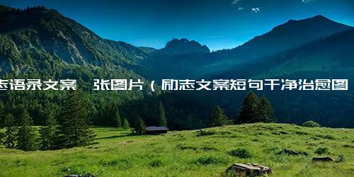 励志语录文案一张图片（励志文案短句干净治愈图片）