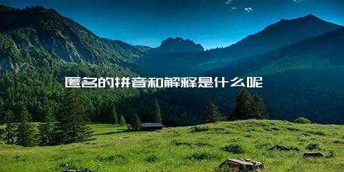 匿名的拼音和解释是什么呢