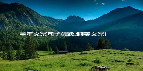 半年文案句子(简短唯美文案)