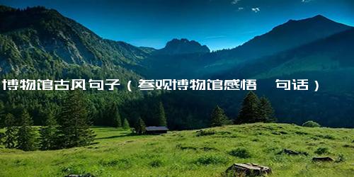 博物馆古风句子（参观博物馆感悟一句话）