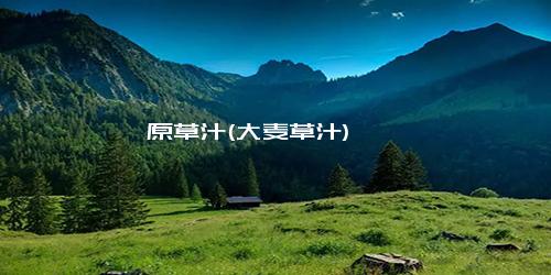 原草汁(大麦草汁)