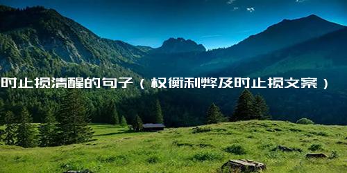 及时止损清醒的句子（权衡利弊及时止损文案）