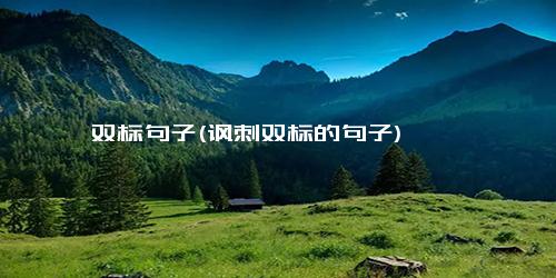 双标句子(讽刺双标的句子)