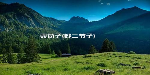 双荷子(炒二节子)