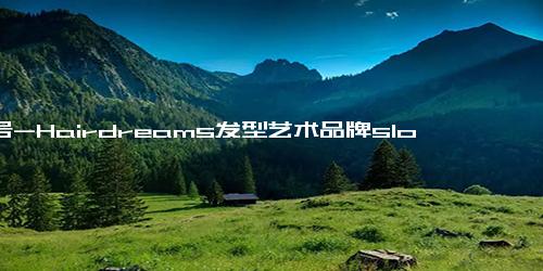 口号-Hairdreams发型艺术品牌slogan口号