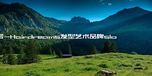 口号-Hairdreams发型艺术品牌slogan口号