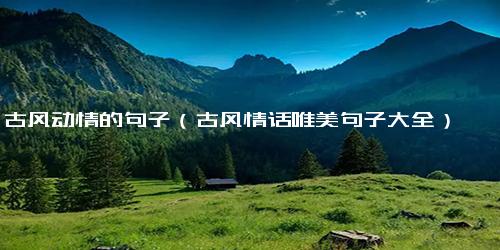 古风动情的句子（古风情话唯美句子大全）