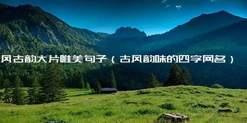 古风古韵大片唯美句子（古风韵味的四字网名）