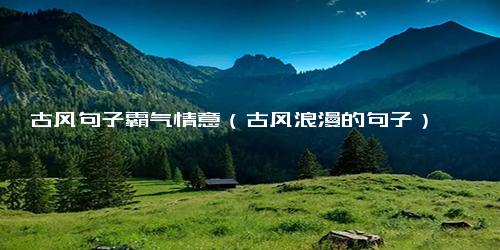 古风句子霸气情意（古风浪漫的句子）