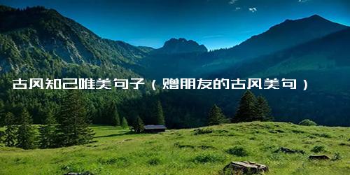 古风知己唯美句子（赠朋友的古风美句）