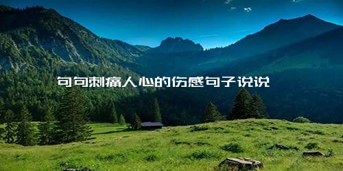 句句刺痛人心的伤感句子说说