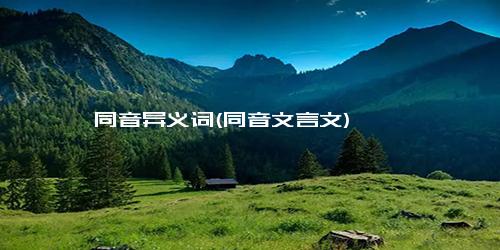 同音异义词(同音文言文)
