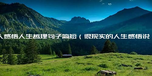 名人感悟人生哲理句子简短（很现实的人生感悟说说）.docx免费下载(word版可打印)