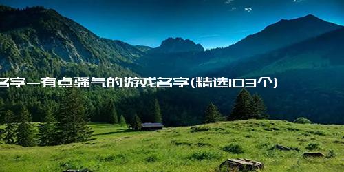 名字-有点骚气的游戏名字(精选103个)