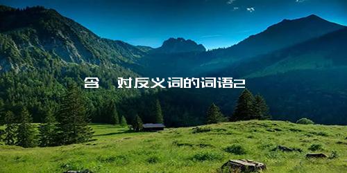 含一对反义词的词语2