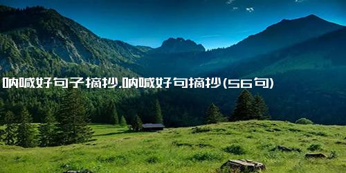 呐喊好句子摘抄，呐喊好句摘抄(56句)