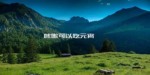 咳嗽可以吃元宵嘛