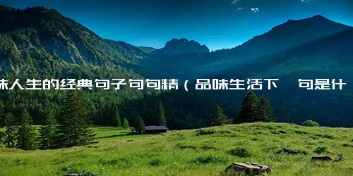 品味人生的经典句子句句精（品味生活下一句是什么）