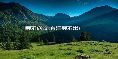 哭不成泣(有泪哭不出)