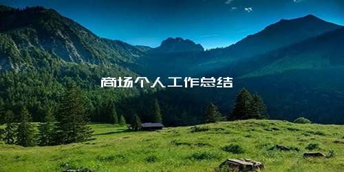商场个人工作总结
