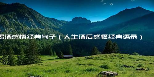 喝酒感悟经典句子（人生酒后感慨经典语录）