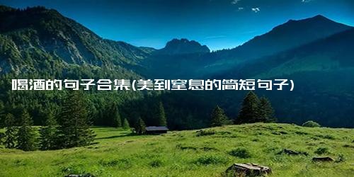 喝酒的句子合集(美到窒息的简短句子)