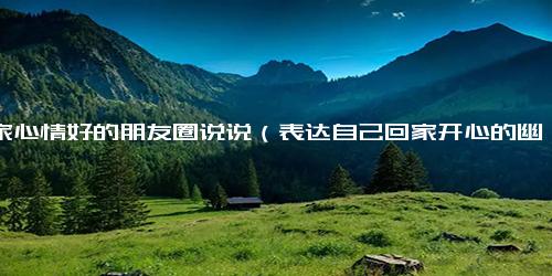 回家心情好的朋友圈说说（表达自己回家开心的幽默句子）