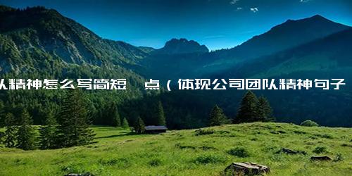 团队精神怎么写简短一点（体现公司团队精神句子）-免费下载(word版可打印)