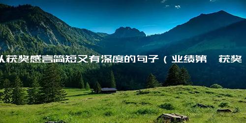 团队获奖感言简短又有深度的句子（业绩第一获奖感言简洁）-免费下载(word版可打印)