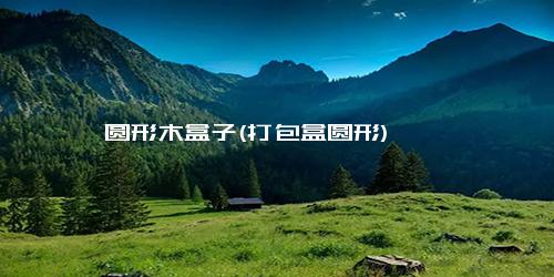 圆形木盒子(打包盒圆形)