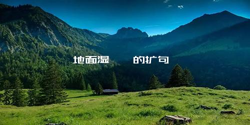 地面湿漉漉的扩句
