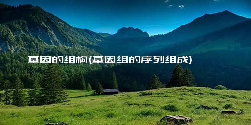 基因的组构(基因组的序列组成)