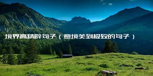 境界高精辟句子（意境美到极致的句子）