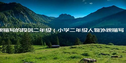 外貌描写的段落二年级（小学二年级人物外貌描写的句子）