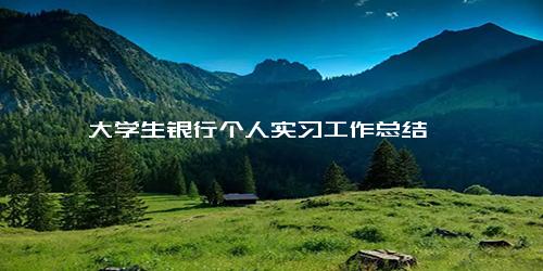 大学生银行个人实习工作总结