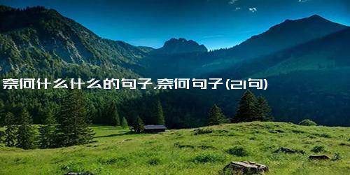 奈何什么什么的句子，奈何句子(21句)