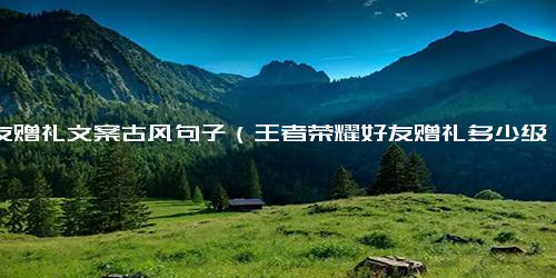 好友赠礼文案古风句子（王者荣耀好友赠礼多少级）