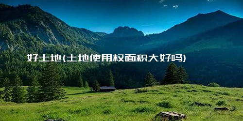 好土地(土地使用权面积大好吗)
