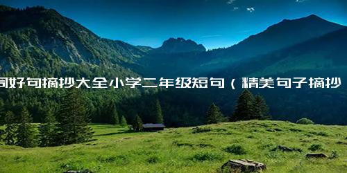 好词好句摘抄大全小学二年级短句（精美句子摘抄）