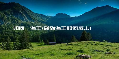 如何怼海王(碰到海王如何反击)