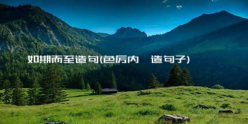 如期而至造句(色厉内荏造句子)