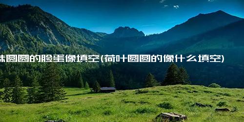 妹妹圆圆的脸蛋像填空(荷叶圆圆的像什么填空)