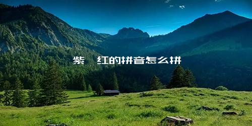姹紫嫣红的拼音怎么拼