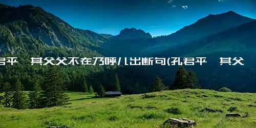 孔君平诣其父父不在乃呼儿出断句(孔君平诣其父父不在乃呼儿出的意思)