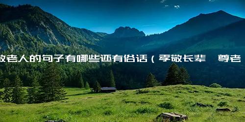 孝敬老人的句子有哪些还有俗话（孝敬长辈,尊老敬老的名言佳句）.docx免费下载(word版可打印)