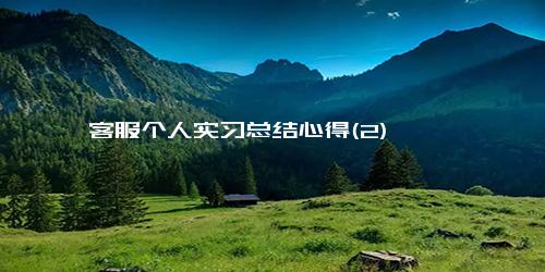 客服个人实习总结心得(2)