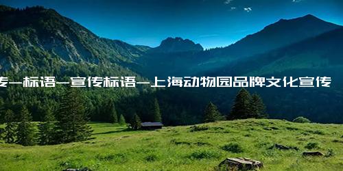 宣传-标语-宣传标语-上海动物园品牌文化宣传标语